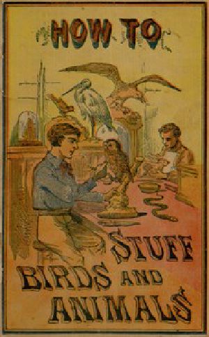 [Gutenberg 43090] • How to Stuff Birds and Animals / A valuable book giving instruction in collecting, preparing, mounting, and preserving birds, animals, and insects